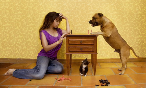 девушка играет в шахматы с собакой