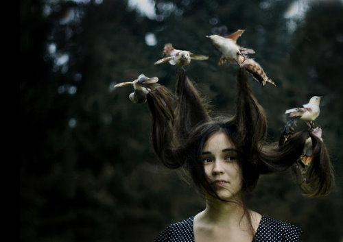 Птицы подняли девушке волосы