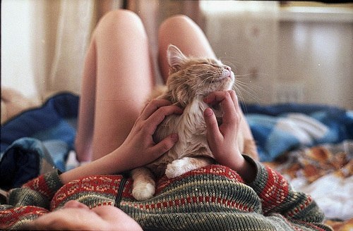 девушка в свитере гладит кота у себя на груди