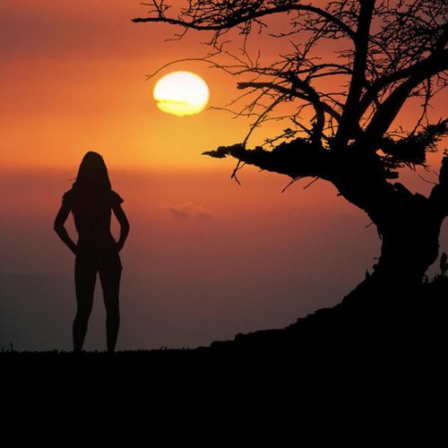 силуэт девушки на фоне заходящего солнца спиной без лица под деревом