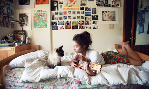 девушка играет на укулеле своей сиамской кошке в кровати