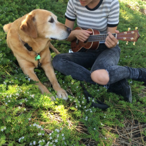 девушка с укулеле играет для своей собаки на траве в тени