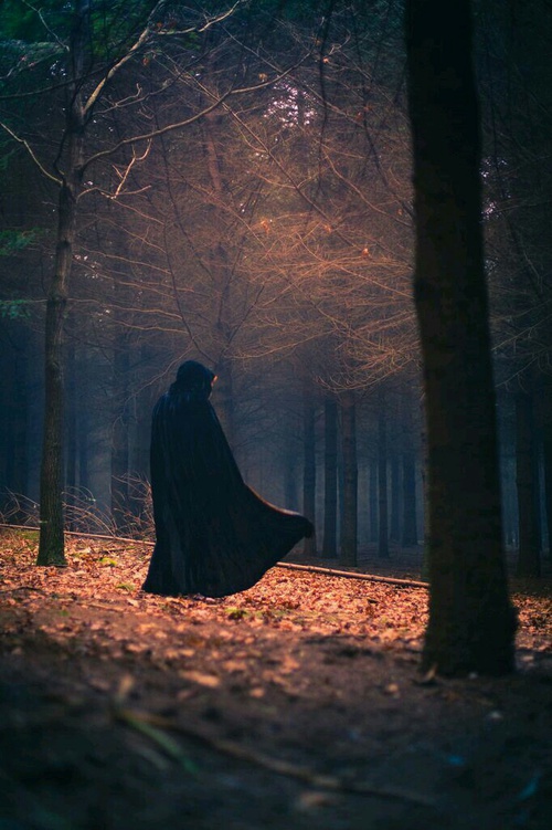 девушка в черном балахоне вдалеке в осеннем лесу со спины без лица