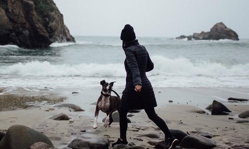 девушка выгуливает собаку на берегу моря в холодную погоду