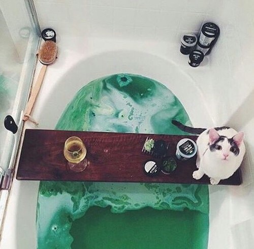 кошка ждет своего хозяина в ванной с зеленой водой