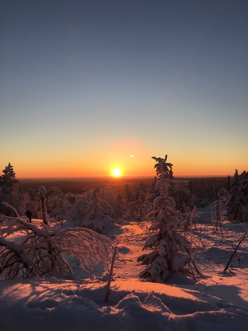 прекрасный сказочный восход солнца зимой