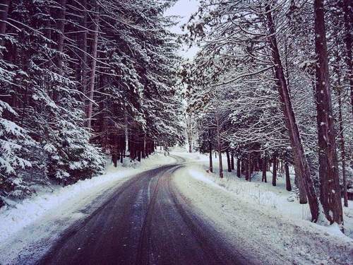 зимняя дорога среди деревьев