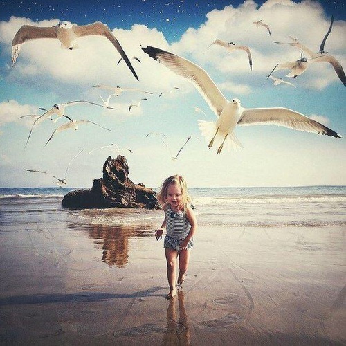 девочка гоняет чаек по пляжу