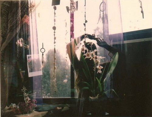 девушка в темной комнате среди цветов