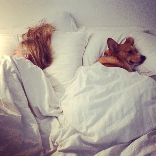 блондинка спит с собакой