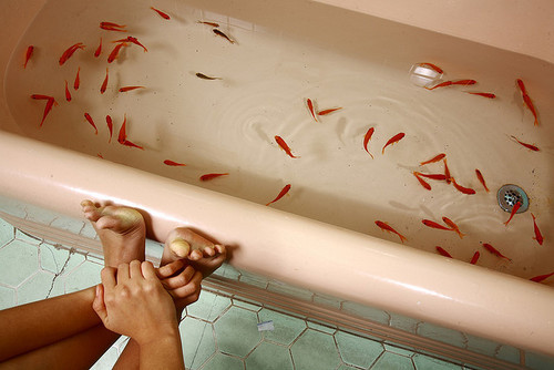  дівчина сидить біля ванни в якій плавають червоні рибки