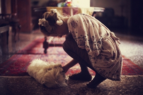 дівчина накрутила волосся на бігуді і грає з пухнастою кішкою на килимі вдома в кімнаті