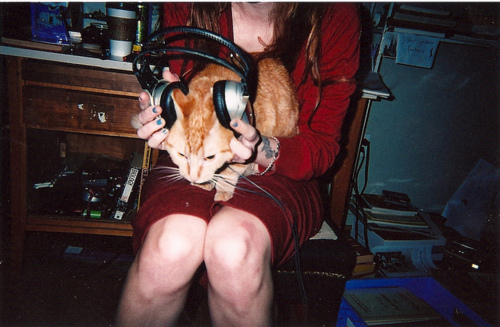 дівчина в червоному сидячи на стільці вдягнула на свого рудого кота навушники