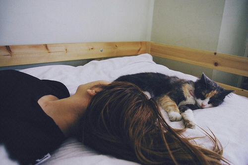 девушка спит с кошкой