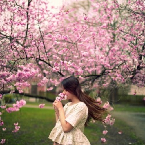 русява дівчина нюхає рожеві квіти які зацвіли на дереві