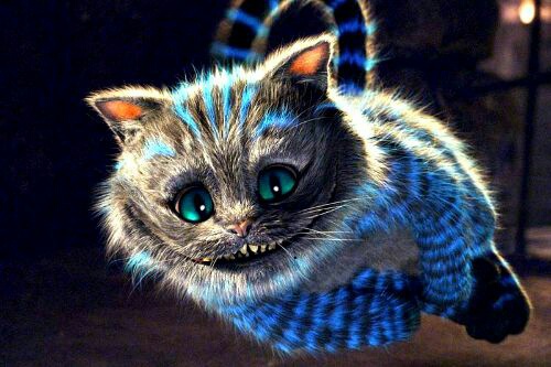 пухнастий Чеширський кіт в 3D
