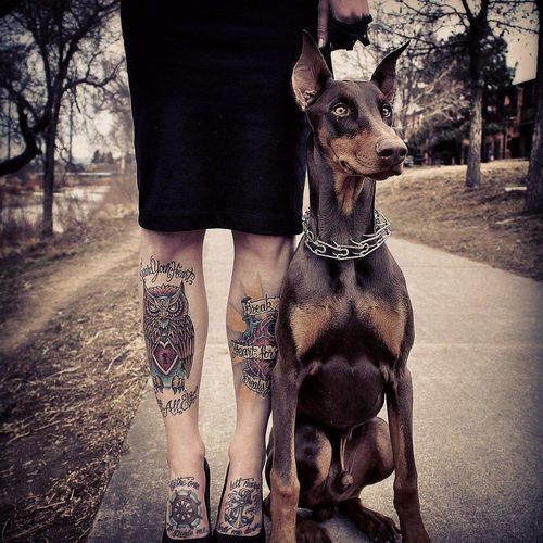 девушка с доберманом и татуировками на ногах