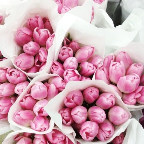 букеты розовых тюльпанов сверху