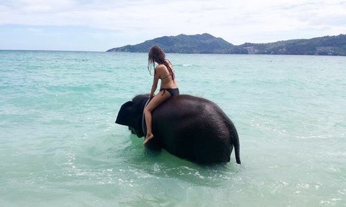 девушка на слоненке в море со спины