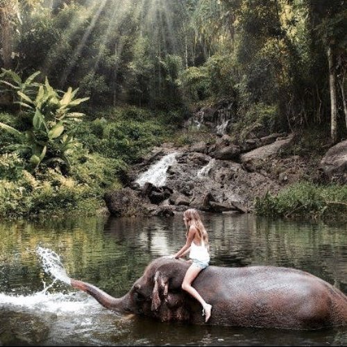 девушка катается на слоне в воде
