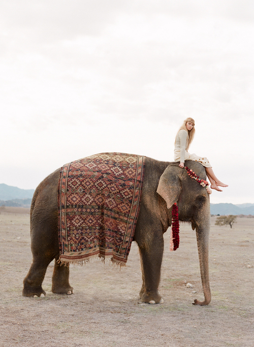 девушка сидит на голове слона с ковром