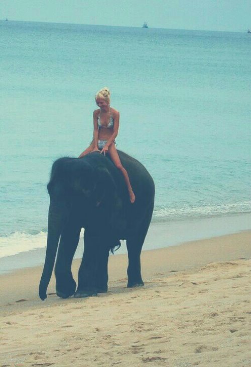 девушка в купальнике на слоне у моря