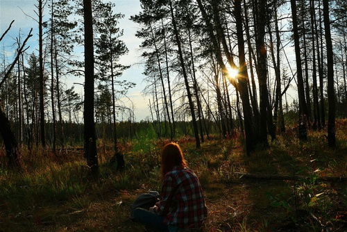 девушка в клетчатой рубашке сидит на траве осенью в лесу под солнцем без лица