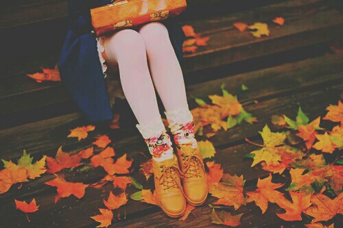 ножки девушки в белых колготках среди рыжих кленовых листьев без лица