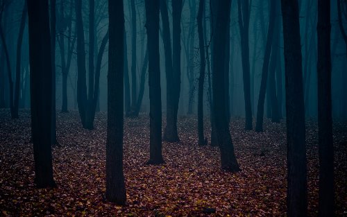 черный осенний лес меланхолия, грусть, депрессия