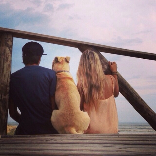 влюбленные с собакой сидят на мосту