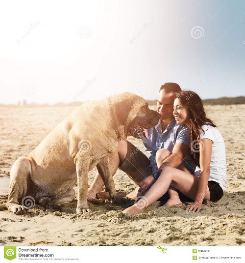 влюбленные с большой собакой на песке