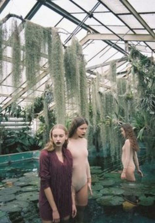 три девушки в бассейне в оранжерее