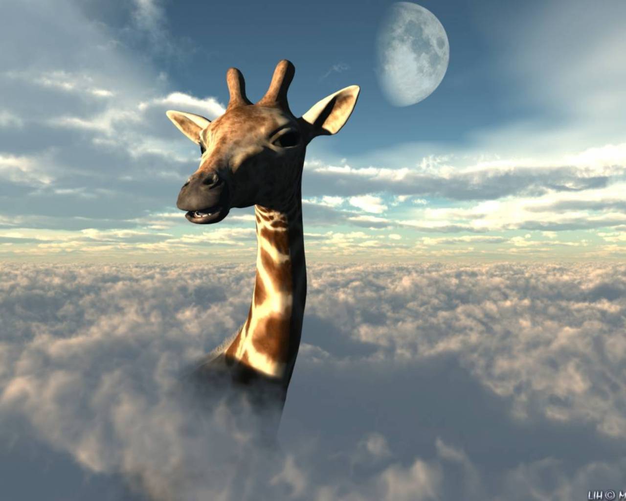 жираф выше облаков обои