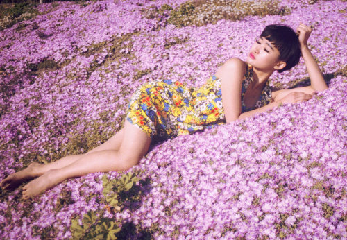 девушка в ярком платье лежит на цветочной поляне