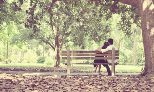 влюбленные сидят на деревянной скамейке в парке спиной летом