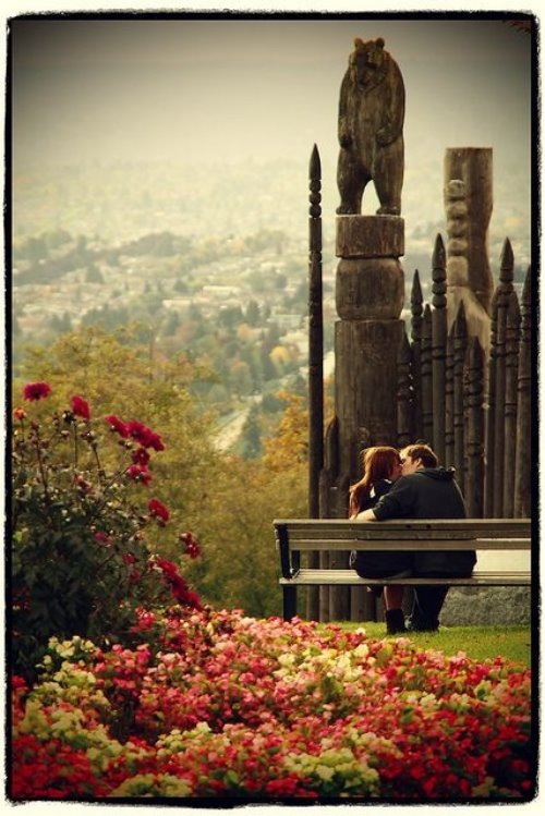 влюбленные целуются на скамейке со спины
