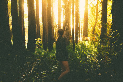 девушка в лесу в мужской куртке на закате