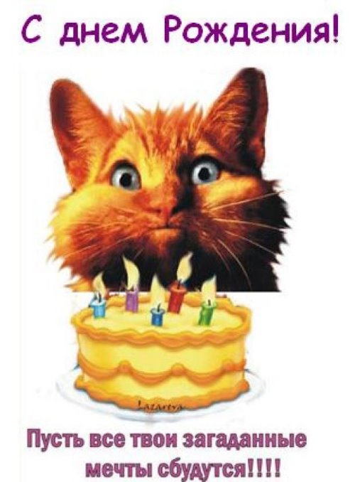 рыжий кот задувает свечи на торте