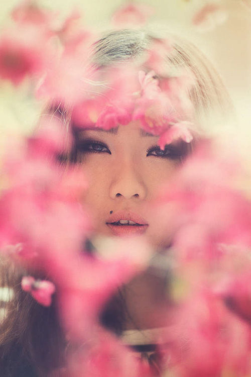кареглазая девушка выглядывает сквозь цветы