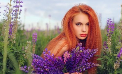 рыжая девушка присела в поле прикрываясь цветами