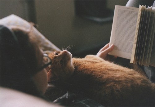 девушка в очках с рыжим котом на животе читает книгу