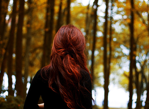 Рыжая спиной в летнем лесу