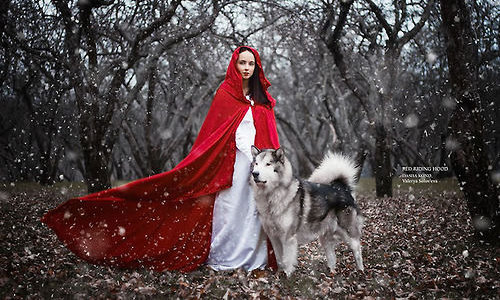 девушка в белом длинном платье и красной накидке с волком в зимнем лесу