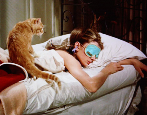 рыжий кот на спине у спящей девушки кадр из фильма завтрак у Тифани