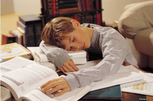 мальчик в сером реглане уснул на столе за учебой