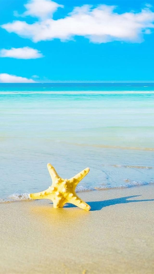 пляж с звездой в песке
