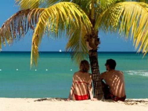 Влюбленная пара сидит под пальмой на берегу фото со спины