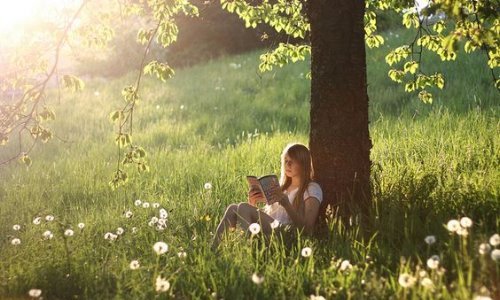 Девушка читает под деревом в лучах солнца среди одуванчиков