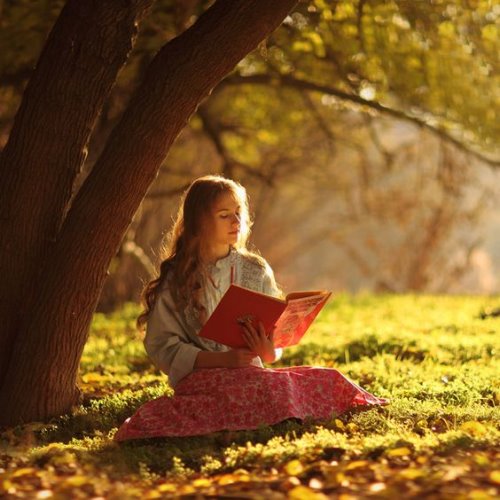 Фото девушки под деревом с книгой в лучах солнца