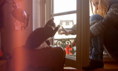 Девушка на подоконнике играет с котенком через стекло окна